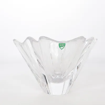Corbeille à fruits (Transparent)