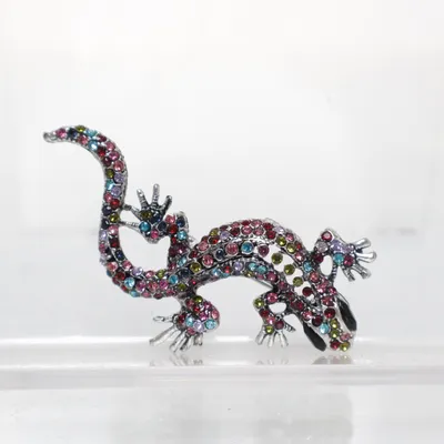 Brooch (Silver, Multicolored) Unknown metal