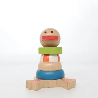 Activiteitenspeelgoed (Meerkleurig) van Everearth