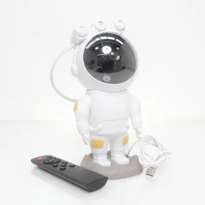 Projector ( )