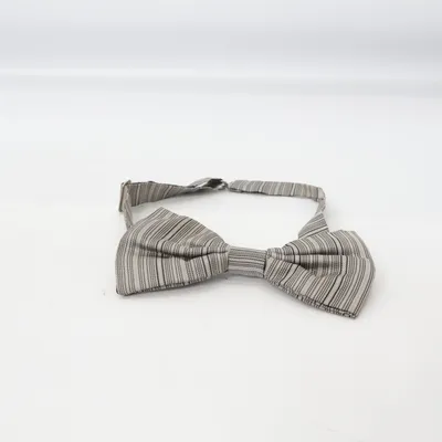 Noeud papillon (Gris) de Pal Zileri
