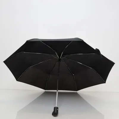 Umbrella (Black) from Biltema