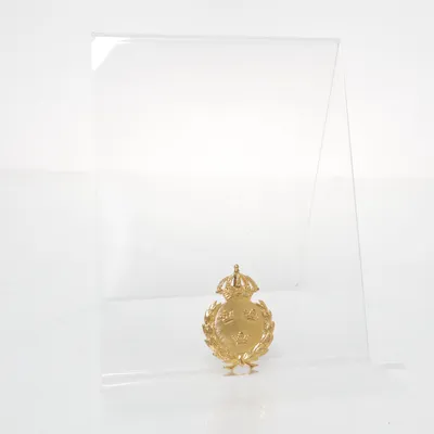 Brosch (Guldfärgad) från Sporrong & Co Okänd metall