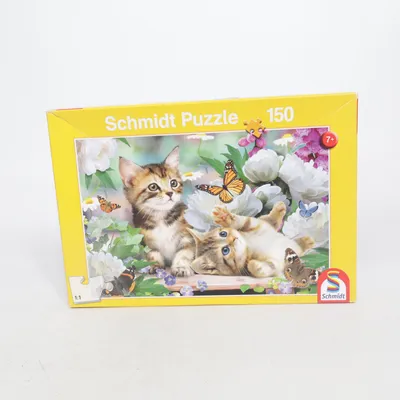 Puzzle de Schmidt