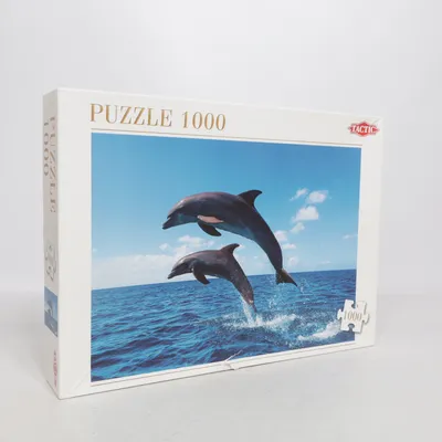 Puzzle from Tactic