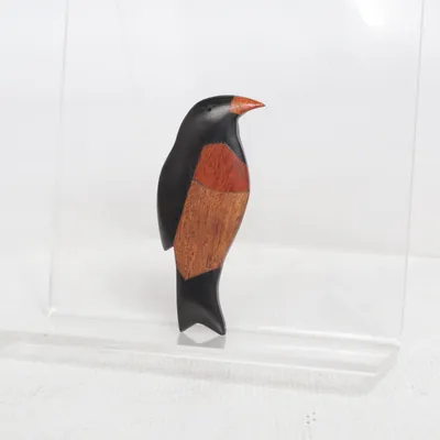 Broche (Zwart, Bruin, Meerkleurig) Onbekend materiaal