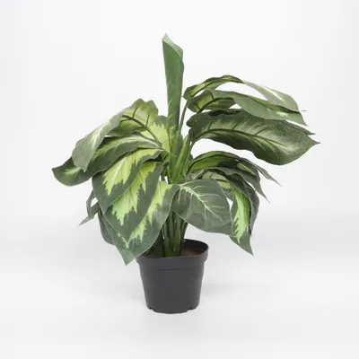Plante artificielle (Vert)