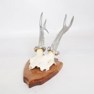 Wanddecoratie (Zilver, Bruin)