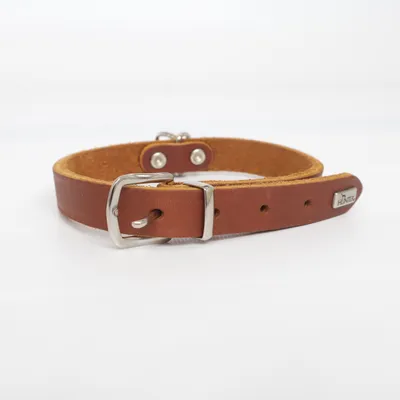 Hundhalsband (Brun) från Hunter