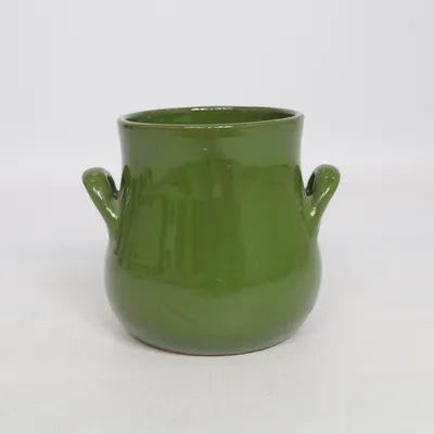 Schaal (Groen)