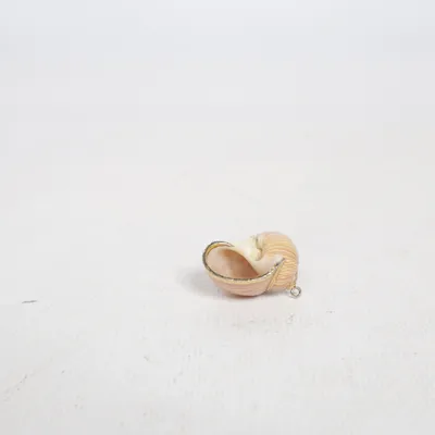 Pendentif (Beige, Or) Métal inconnu, Coquillage