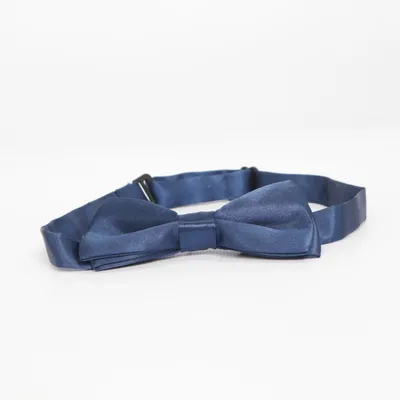 Noeud papillon (Bleu)