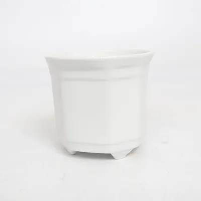 Pot (White)