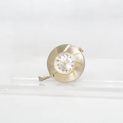 Montre de poche (Or, Argent) de Hudson