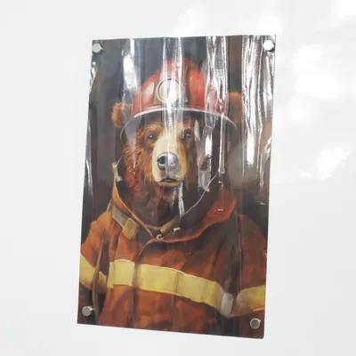 Plakat fra Fujifilm