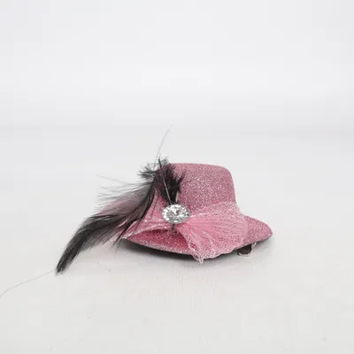 Kostuum accessoires (Roze)