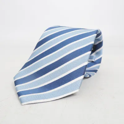 Cravate (Bleu, Blanc) de Royal class