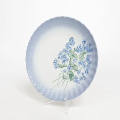 Plate (White, Blue, Multicolored)