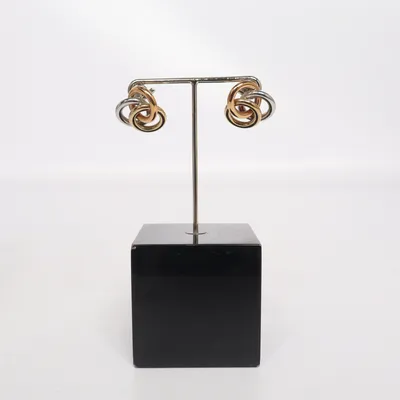 Örhängen (Guldfärgad, Silverfärgad) från Fossil Okänd metall