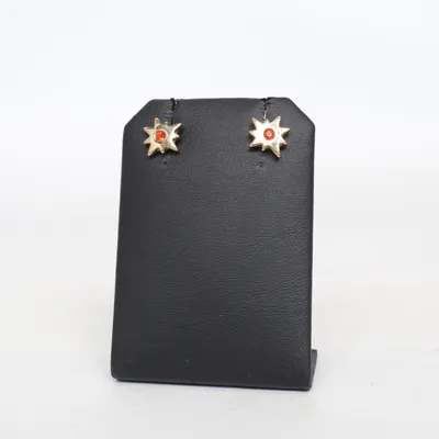 Örhängen (Guldfärgad) Okänd metall