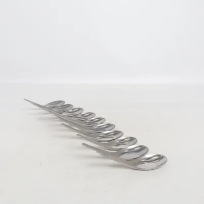 Spoon (Silver)