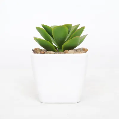 Konstgjord växt (Grön, Vit)