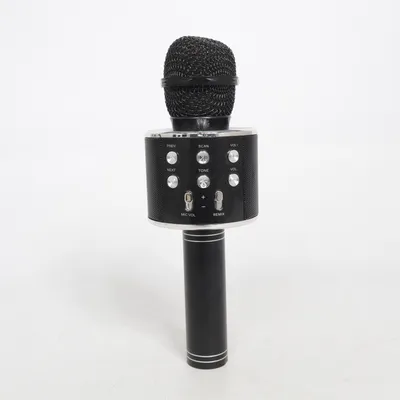 Microfoon (Karaoke Microphone) van Silvergear