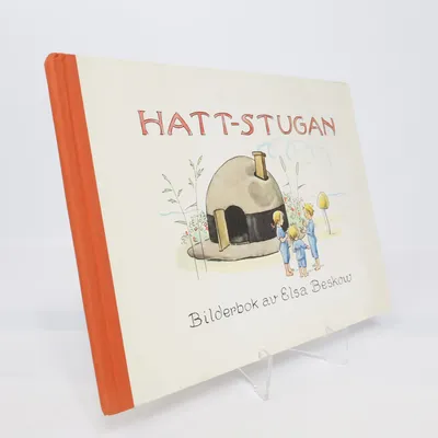 Kinderboek