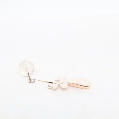 Brooch (Silver, Transparent) Unknown metal
