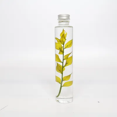 Inredningsdetalj (Transparent, Grön)