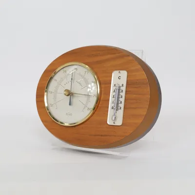 Barometer (Brun, Beige, Guldfärgad) från Sundo