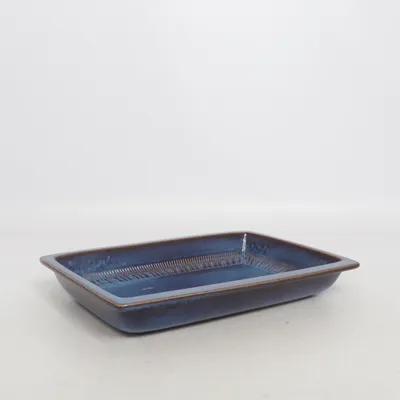 Moule à four (Bleu)