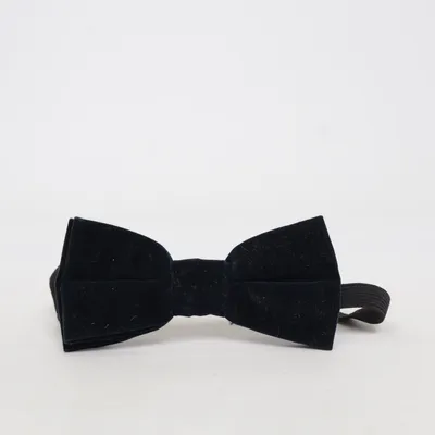 Bow tie (Blue)