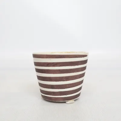 Pot (Marron, Blanc)
