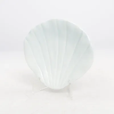 Porte-savon (Blanc)