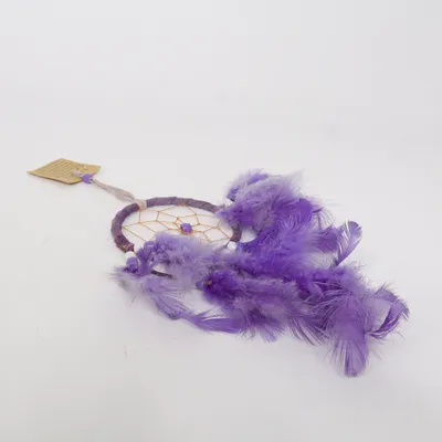 Dreamcatcher (Purple)