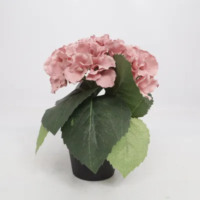 Artificial plant (Pink, Green)