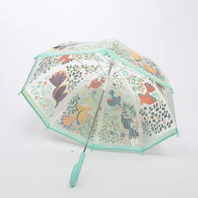 Paraply (Flerfärgad, Transparent)