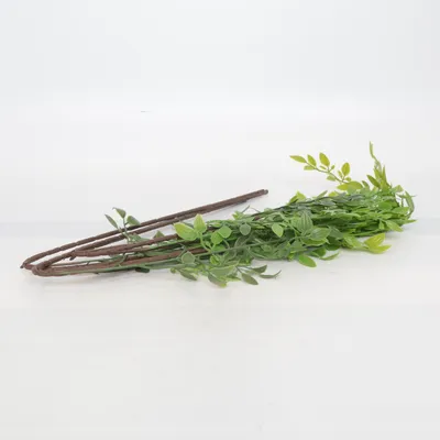 Kunstplant (Groen, Bruin)