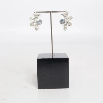 Boucles d'oreilles (Argent) Métal inconnu