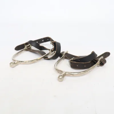 Stigbyglar (Flerfärgad)