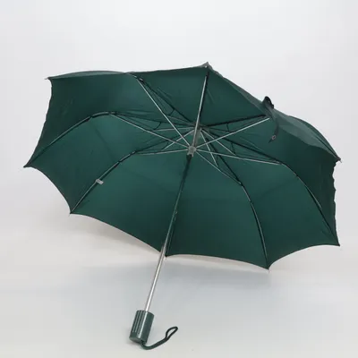 Parapluie (Vert)