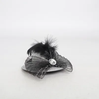 Kostuum accessoires (Zilver, Zwart)