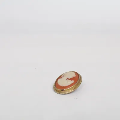 Brosch (Brun, Flerfärgad) Okänd metall