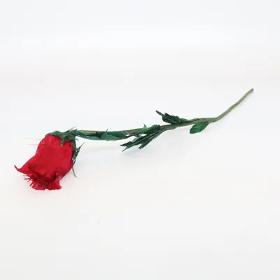 Konstgjord växt (Feather Rose Princess RN) från Rose's Roses
