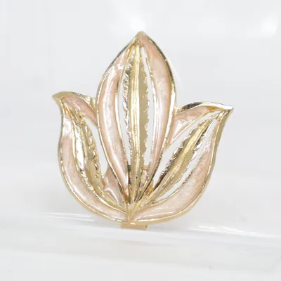 Broche (Goud, Roze) Onbekend materiaal