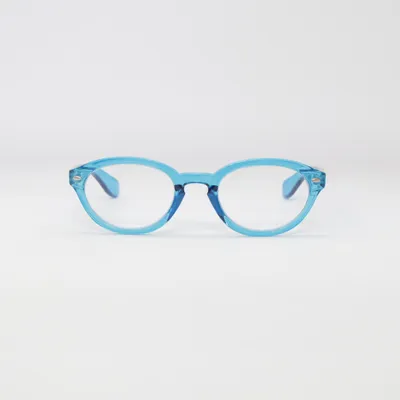 Bril (Blauw, Transparant) van Zebra