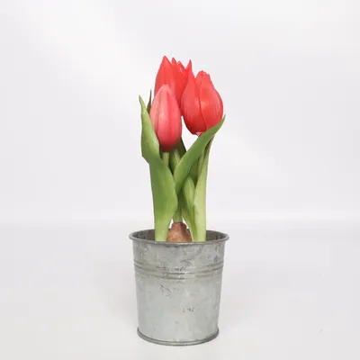 Konstgjord växt (Röd, Grön, Grå)