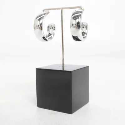 Boucles d'oreilles (Argent) Métal inconnu