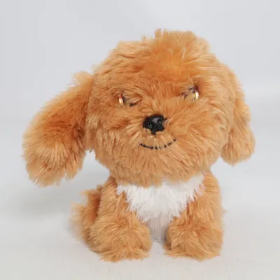 Peluche (Marron, Blanc) de Lumo Stars
